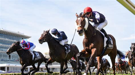 Free 2021 Melbourne Cup Online Sweep Generator.